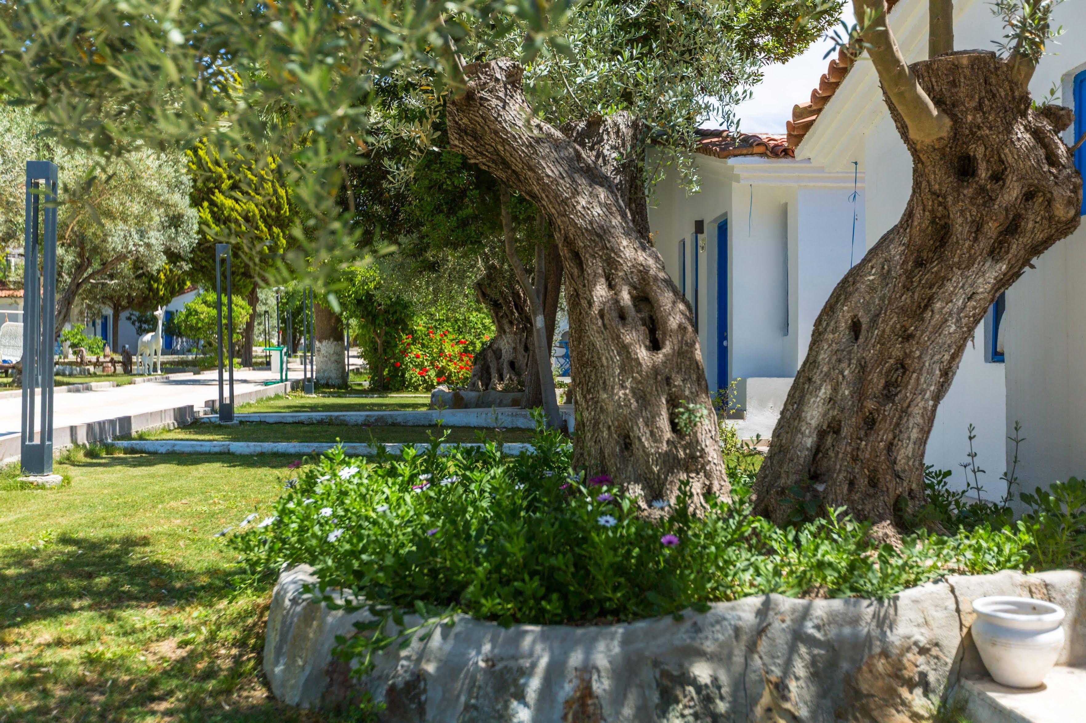 Risus Garden Marina Hotel Kusadasi Exterior photo